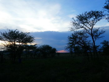Serengeti Acacia Central Camp Bagian luar foto