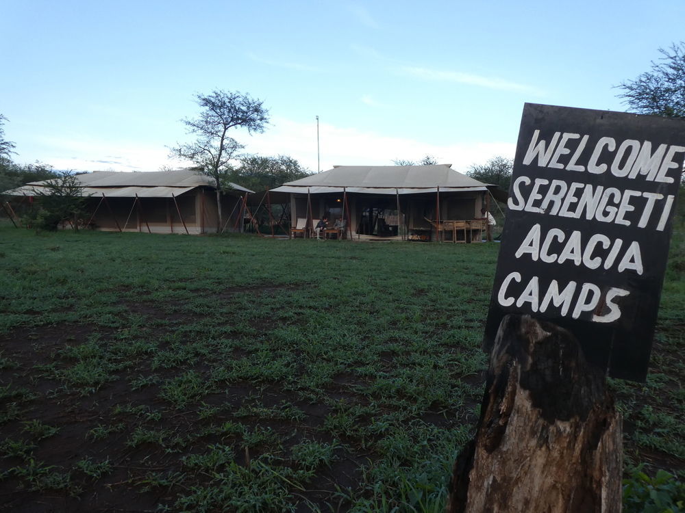 Serengeti Acacia Central Camp Bagian luar foto