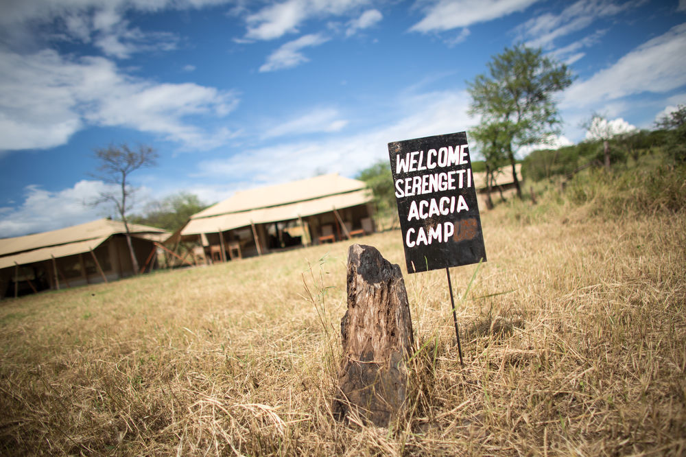 Serengeti Acacia Central Camp Bagian luar foto